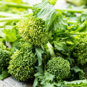 Cima di rapa (Brassica rapa